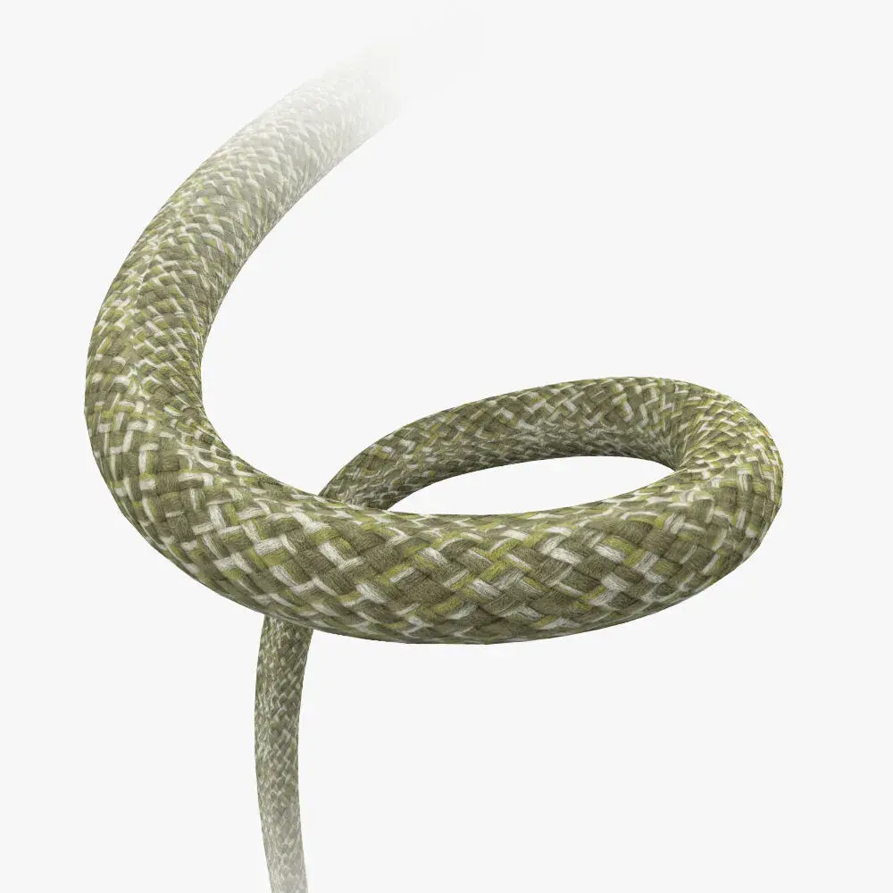 -The Digital STM Company Limited