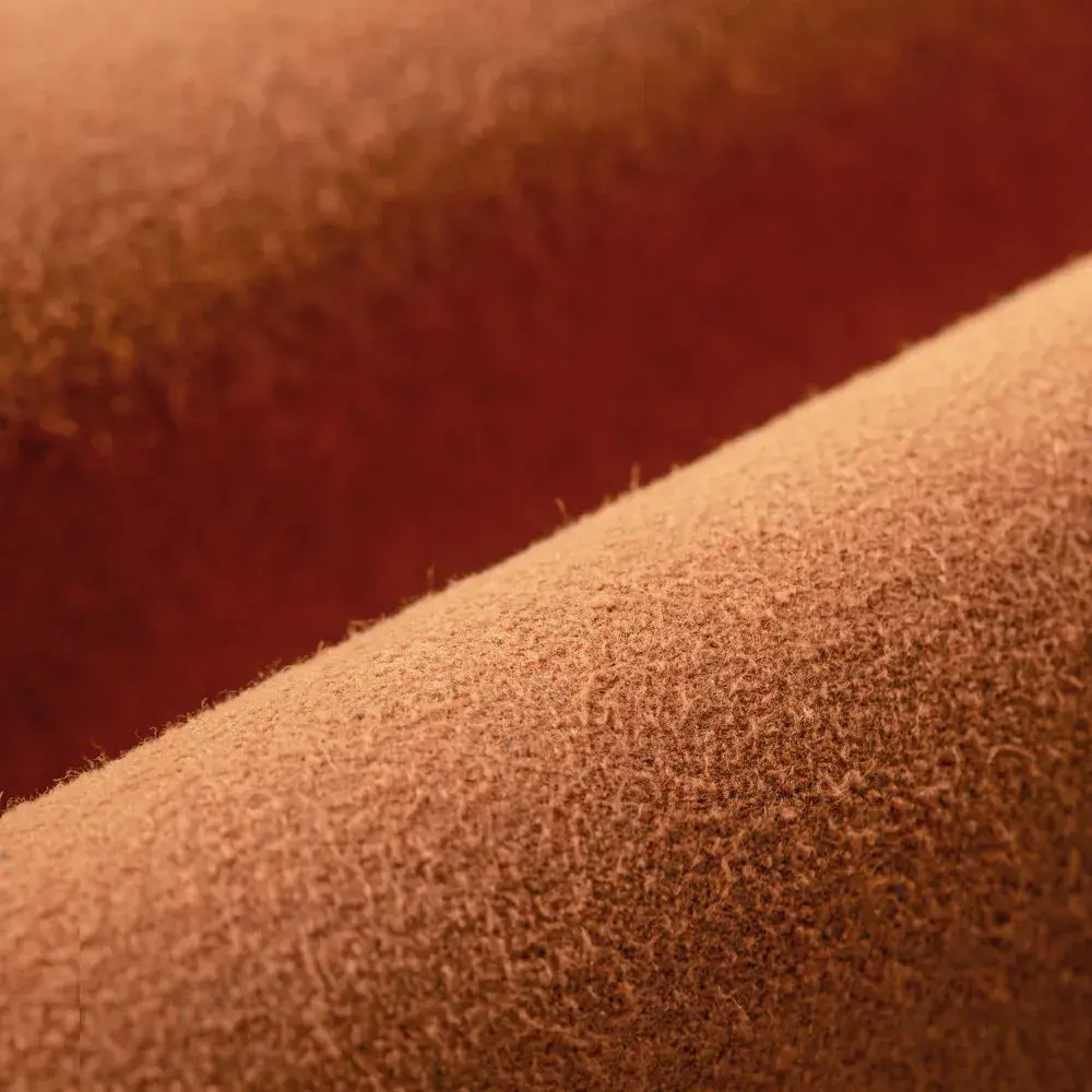 -The Digital STM Company Limited